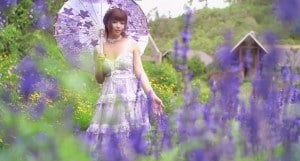 JasmineJ紫色花海的爱海报剧照