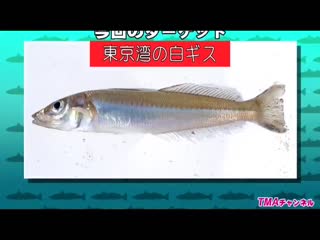 [AVOP-206]釣りバカおじさん日記 ～マドンナ初美沙希ちゃんとキス釣りチャレンジ！！-dad