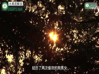 第345期10月26日巨汉上司激情播种：白肌肤人妻VS绿帽癖丈夫！原本应该生气的绿哥，看到老婆被别的男人干了个底朝天，他竟然可耻的石更了…海报剧照